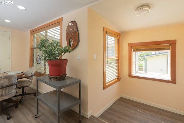 interior space featuring dark wood-type flooring and vaulted ceiling