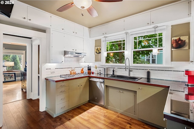 kitchen featuring light wood-style flooring, a ceiling fan, appliances with stainless steel finishes, under cabinet range hood, and a sink