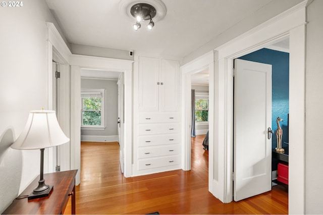 hall with ornamental molding and wood-type flooring