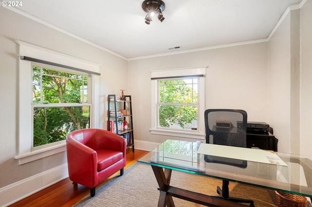 office with ornamental molding and hardwood / wood-style flooring