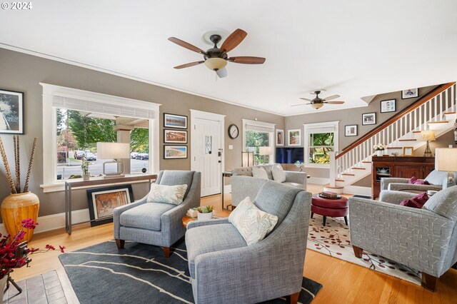 living room with ceiling fan, ornamental molding, and light hardwood / wood-style flooring