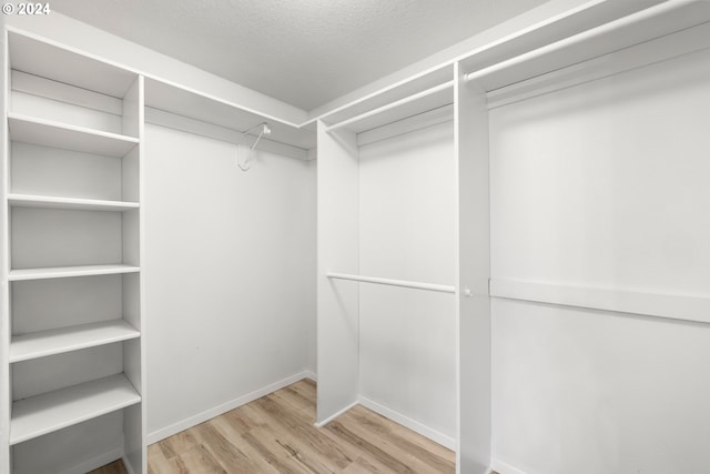 spacious closet featuring light hardwood / wood-style floors