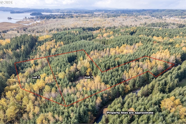 000 Misty Hill Dr Unit 2, Toutle WA, 98649 land for sale