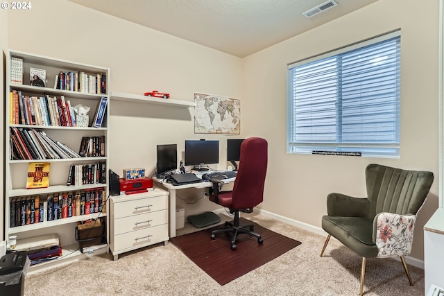 office with light colored carpet