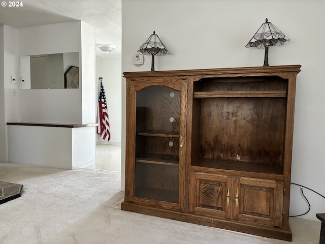 details featuring carpet floors and a textured ceiling