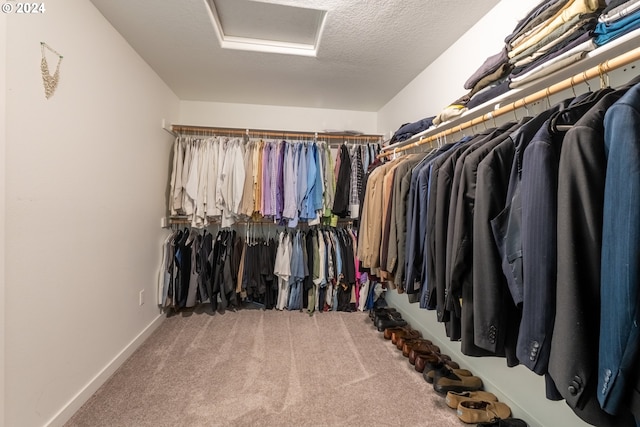 walk in closet with carpet flooring