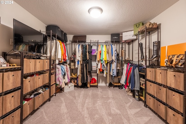 spacious closet featuring light carpet