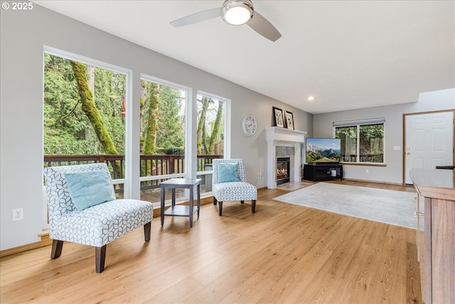 living area featuring light hardwood / wood-style floors and ceiling fan