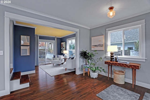 foyer entrance featuring dark wood-type flooring and ornamental molding