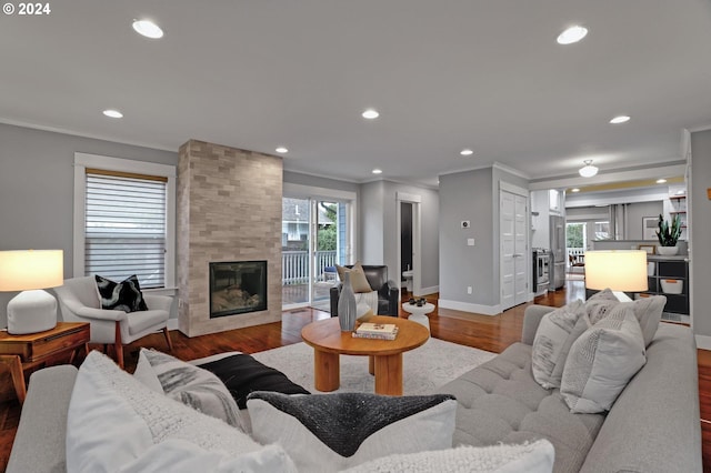 living room featuring a large fireplace, wood-type flooring, and ornamental molding