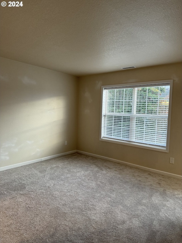 carpeted spare room with a textured ceiling and a wealth of natural light