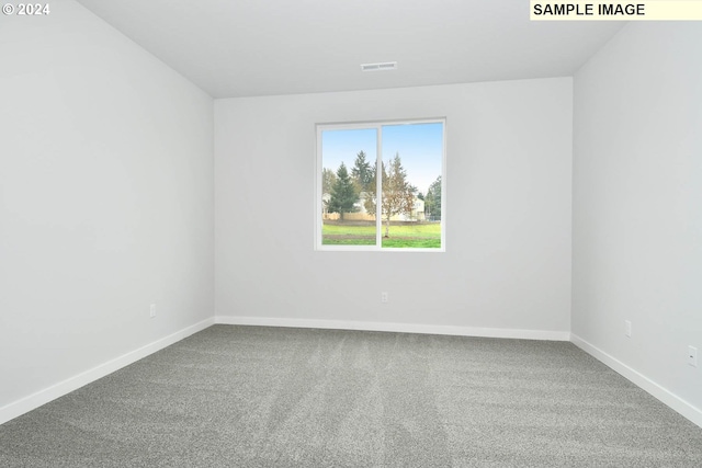 empty room featuring carpet floors