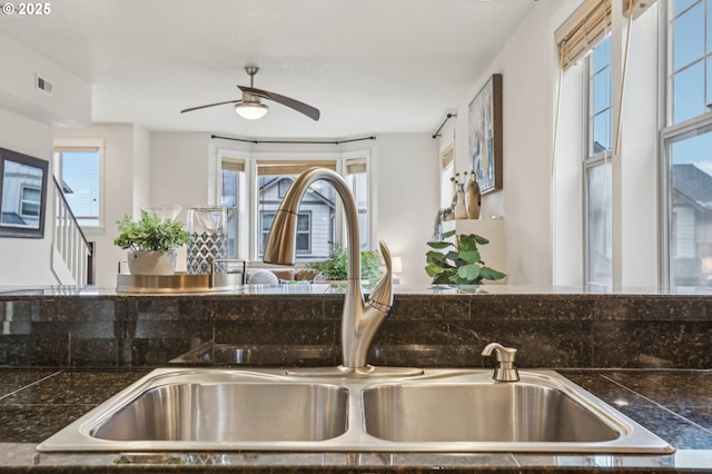 interior details featuring sink and ceiling fan