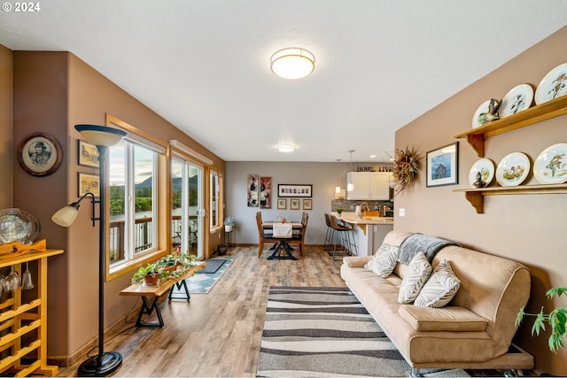 living room featuring light hardwood / wood-style flooring