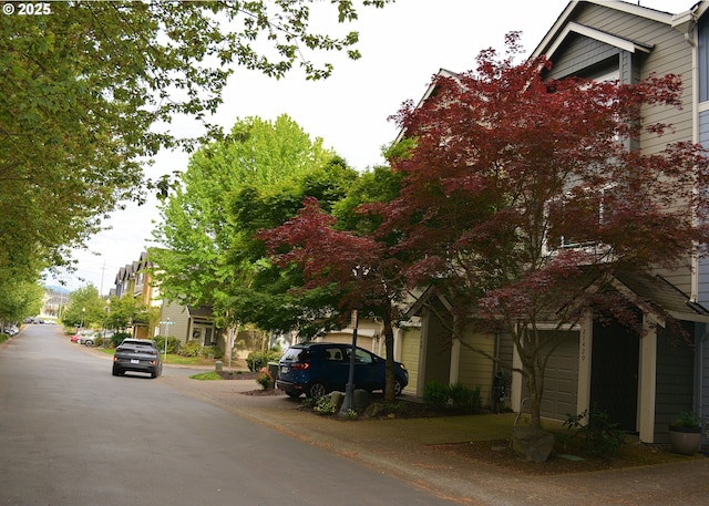 view of asphalt street