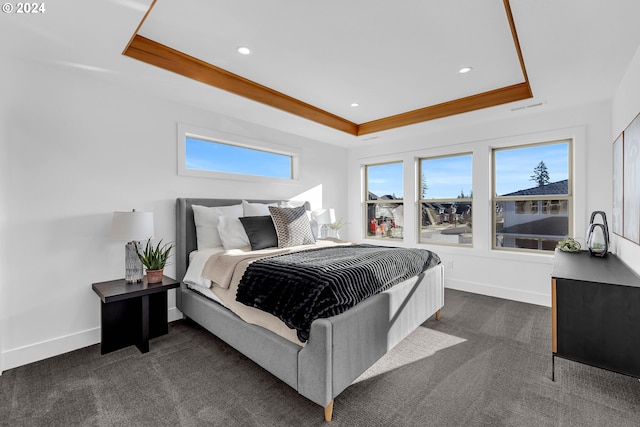 bedroom featuring dark carpet and a raised ceiling