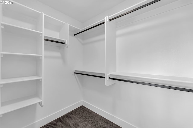 spacious closet with carpet flooring