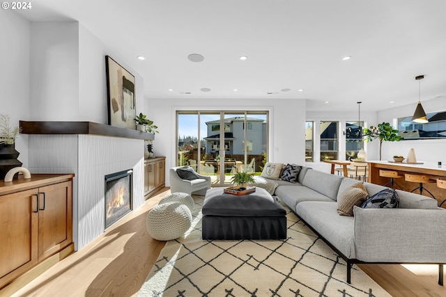 living room featuring light wood-type flooring