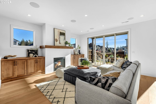 living room with a healthy amount of sunlight and light hardwood / wood-style floors