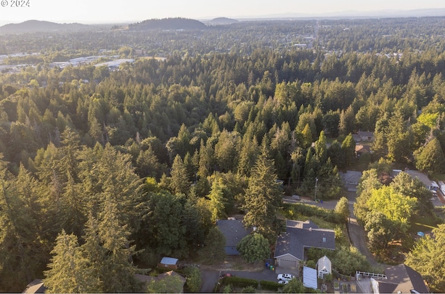 bird's eye view with a mountain view