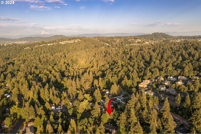 birds eye view of property featuring a mountain view