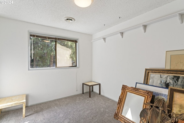 interior space with carpet and a textured ceiling