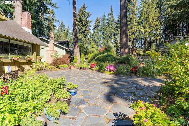 view of yard with a patio area