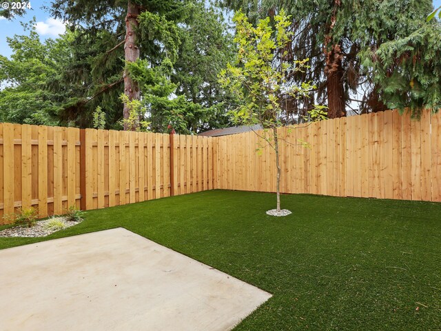 view of yard with a patio area