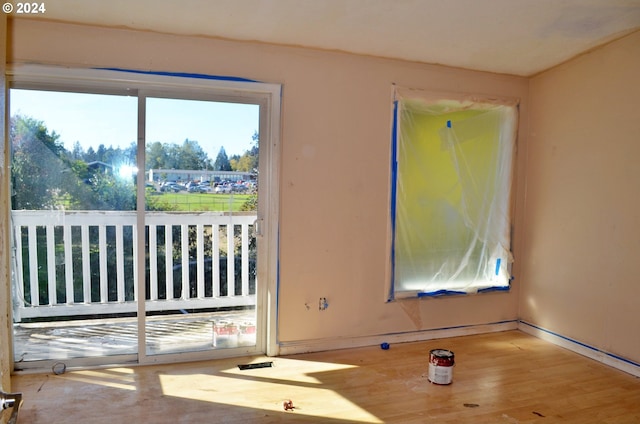 empty room featuring wood-type flooring