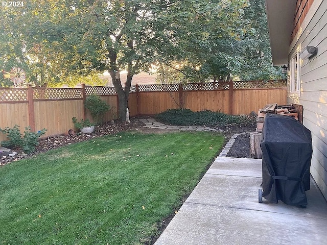 view of yard with a patio