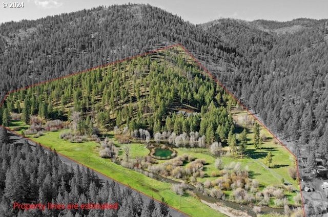 birds eye view of property with a mountain view