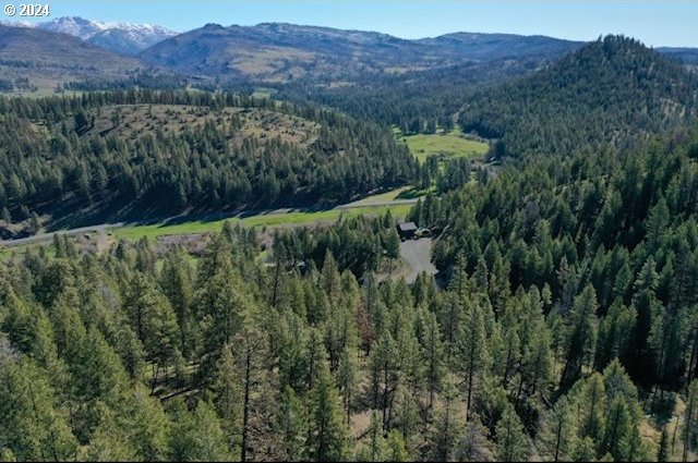 drone / aerial view featuring a mountain view