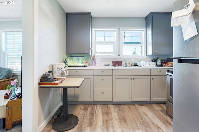 kitchen with plenty of natural light, light hardwood / wood-style floors, and sink