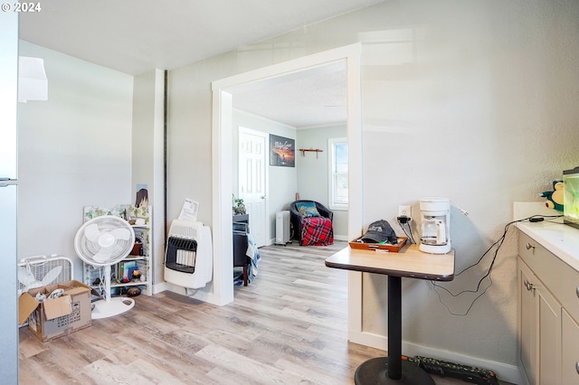 interior space featuring light wood-type flooring and radiator