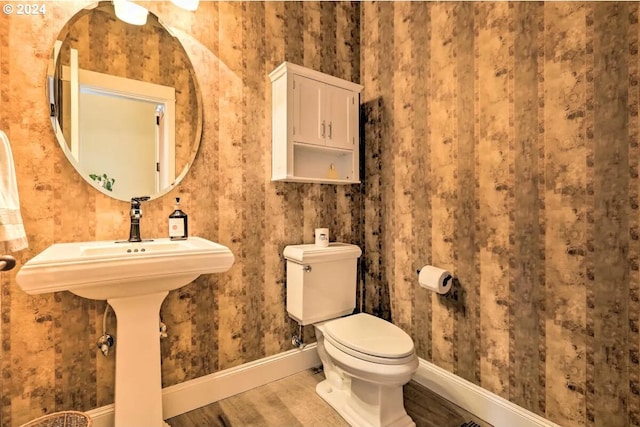 bathroom with wood-type flooring and toilet