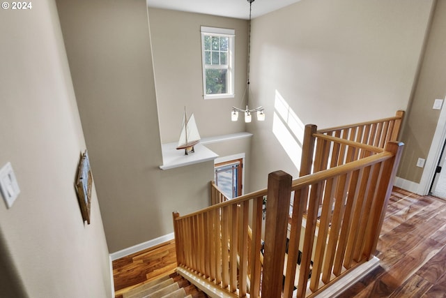 stairway featuring a notable chandelier and hardwood / wood-style floors