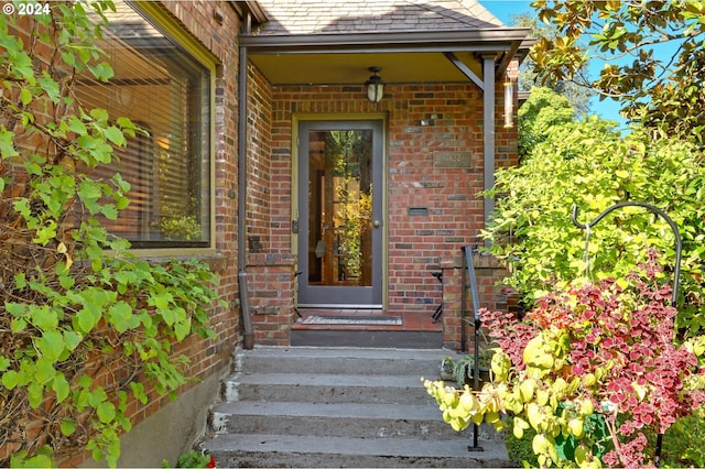 doorway to property featuring brick siding and roof with shingles