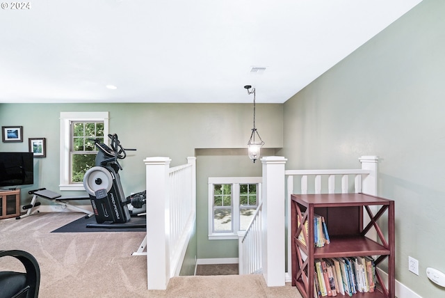 interior space with a healthy amount of sunlight and carpet