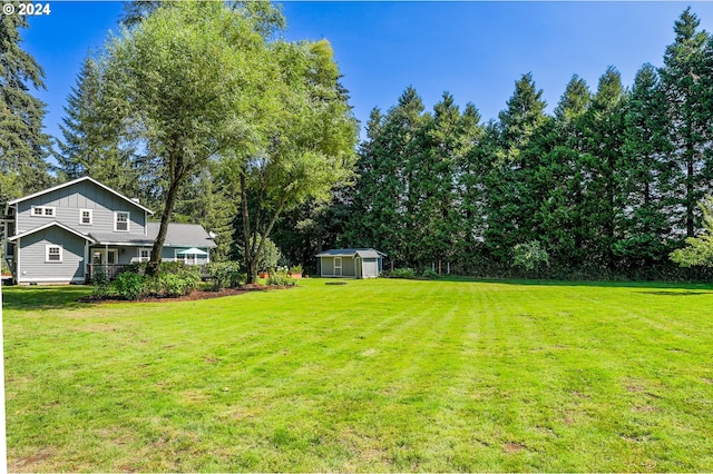 view of yard with a shed