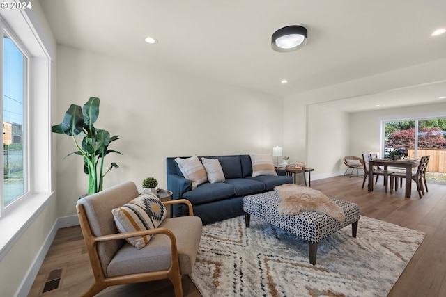 living room featuring a healthy amount of sunlight and wood-type flooring