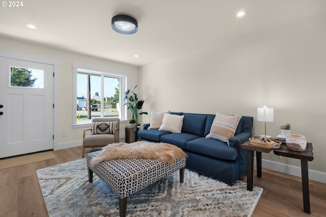 living room featuring hardwood / wood-style flooring