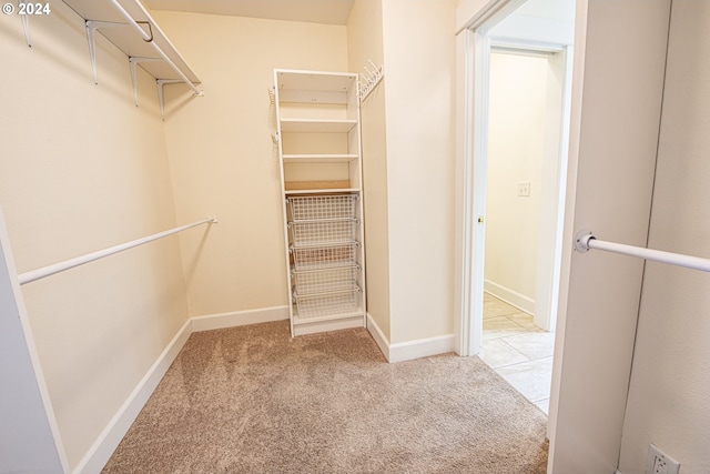 spacious closet with light carpet