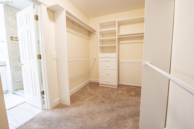 walk in closet with light carpet