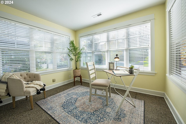 living area with dark colored carpet