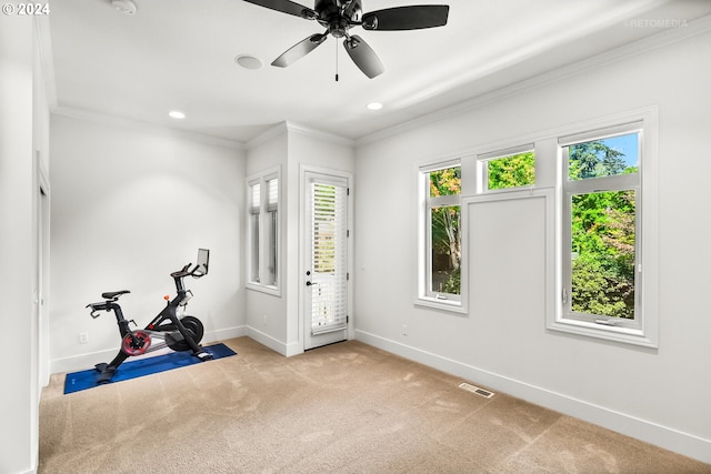 exercise area featuring crown molding, ceiling fan, and light carpet