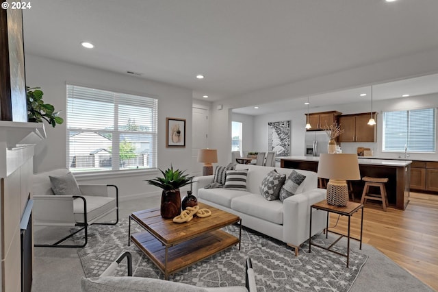 living room featuring light wood-type flooring and sink