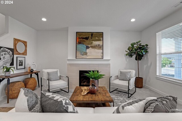 living room featuring a fireplace and light colored carpet