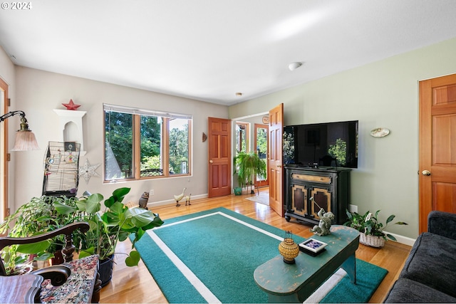 living room featuring light hardwood / wood-style floors