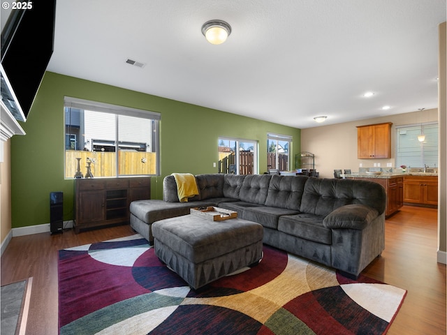 living room featuring wood-type flooring