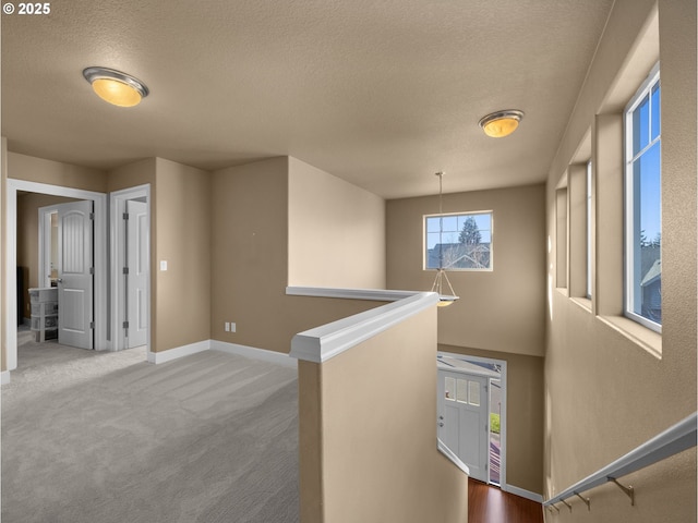 hall featuring carpet floors and a textured ceiling